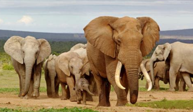 广东360搜索开户代理商电话是多少？跑按摩产品效果怎么样？