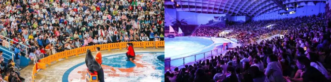 景区还能这样玩?五一旺季微信广告营销创新大盘点! 景区还能这样玩?五一旺季微信广告营销创新大盘点!