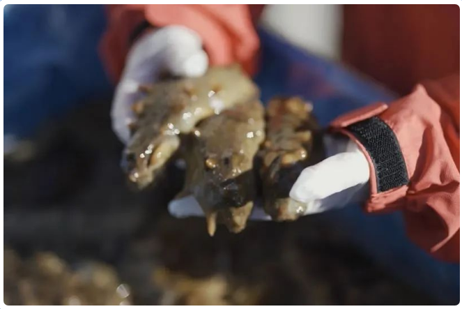 2022请记住，一个来自数字经济时代的温暖拥抱 | 百度广告平台