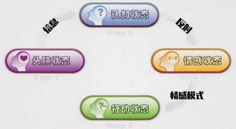 快手广告怎么做整个行为背后的大脑运行规律 快手广告怎么做整个行为背后的大脑运行规律