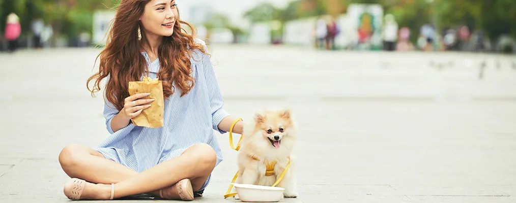 浅析快手广告运营宠物相关视频账号,提升推广效果 浅析快手广告运营宠物相关视频账号,提升推广效果