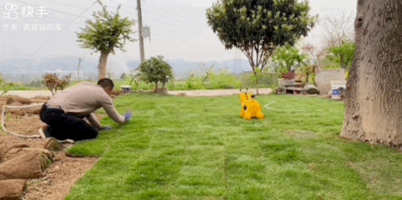 竟然挨揍冲上热榜！这是快手最欠的羊！-【快手广告开户】