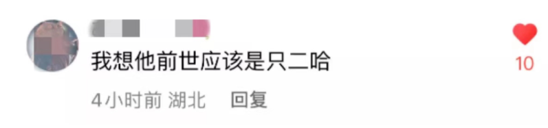 竟然挨揍冲上热榜！这是快手最欠的羊！-【快手广告开户】