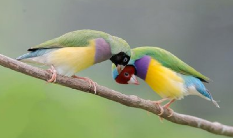 360怎么投放广告?360跑加粉效果好不好? 360怎么投放广告?360跑加粉效果好不好?