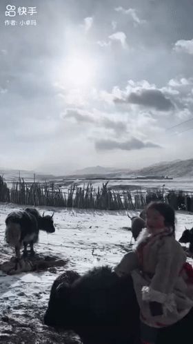 春节旅游何以“狂飙”? | 快手广告推广 春节旅游何以“狂飙”? | 快手广告推广