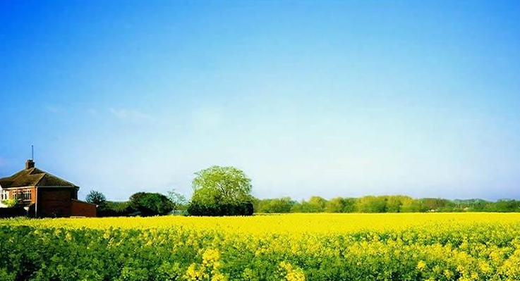 西安360广告代理商有多少?360搜索开户投放技巧有哪些? 西安360广告代理商有多少?360搜索开户投放技巧有哪些?