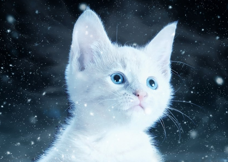 360广告怎么收费？360现在跑加粉成本需要多少？