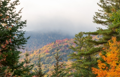 360广告投放技巧有哪些?360搜索开户登录入口在哪里? 360广告投放技巧有哪些?360搜索开户登录入口在哪里?