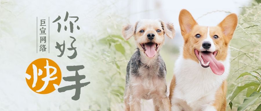 政府单位在快手做广告需要什么资料?能免费吗? 政府单位在快手做广告需要什么资料?能免费吗?