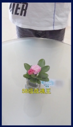 快手游戏行业:仙侠题材游戏素材秒级拆解《NO.2》 快手游戏行业:仙侠题材游戏素材秒级拆解《NO.2》