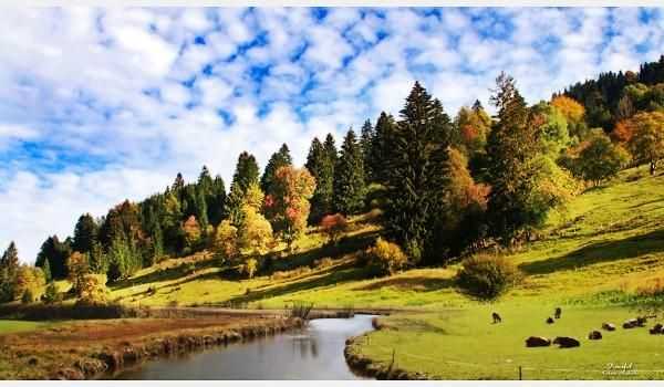 淘宝的违规行为分哪两种（淘宝店铺违规待申诉处理方法）