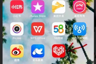 免费安装拼多多2019版,让你购物更省钱、更便捷! 免费安装拼多多2019版,让你购物更省钱、更便捷!