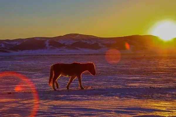 个人淘宝网店怎么推广运营？