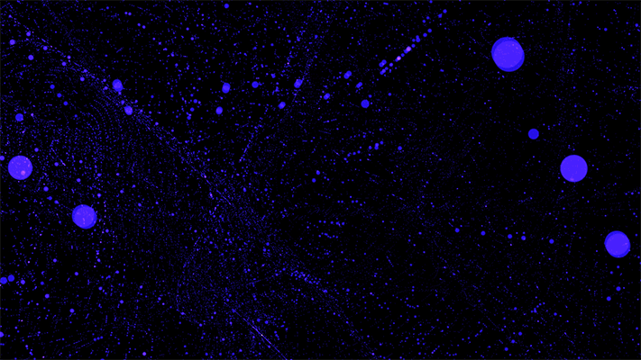 3C认证每年的审厂是几月份