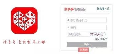 拼多多消费怎么查