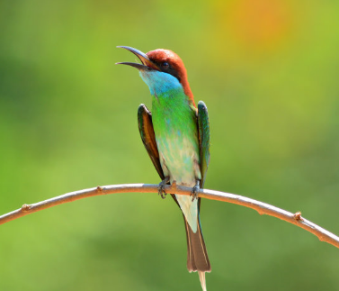 搜狗怎么开户?广告怎么收费? 搜狗怎么开户?广告怎么收费?