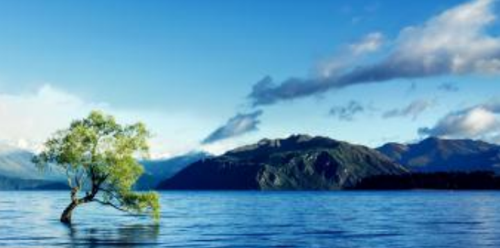 深圳搜狗投放广告代理商找哪家运营最好? 深圳搜狗投放广告代理商找哪家运营最好?