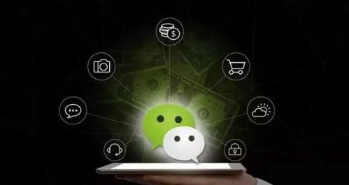 轻轻松松恢复拼多多购买记录,让你购物无忧! 轻轻松松恢复拼多多购买记录,让你购物无忧!