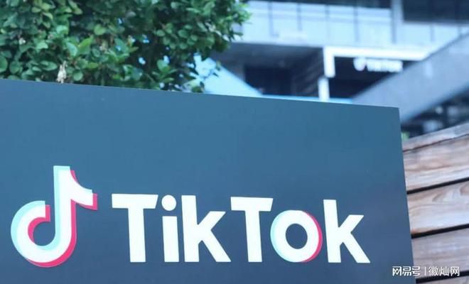 海外版抖音Tiktok运营技巧及变现方式(一) 海外版抖音Tiktok运营技巧及变现方式(一)