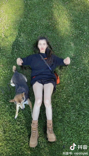 3条视频抖音涨粉213w,这些低粉账号用了什么“吸 3条视频抖音涨粉213w,这些低粉账号用了什么“吸