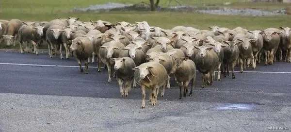 分布式锁用redis好还是zookeeper好? 分布式锁用redis好还是zookeeper好?