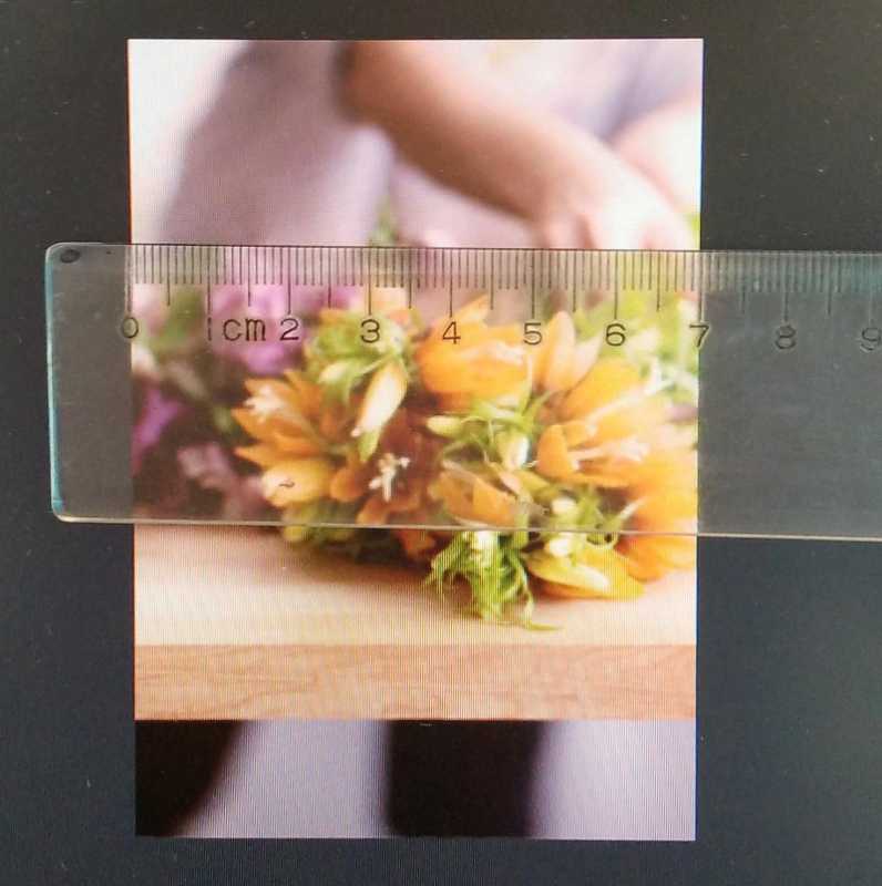 ps打印尺寸怎么调整(把图片打印成指定尺寸的步骤) ps打印尺寸怎么调整(把图片打印成指定尺寸的步骤)