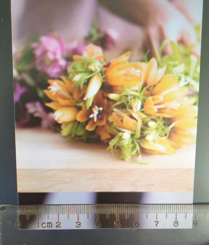 ps打印尺寸怎么调整(把图片打印成指定尺寸的步骤) ps打印尺寸怎么调整(把图片打印成指定尺寸的步骤)