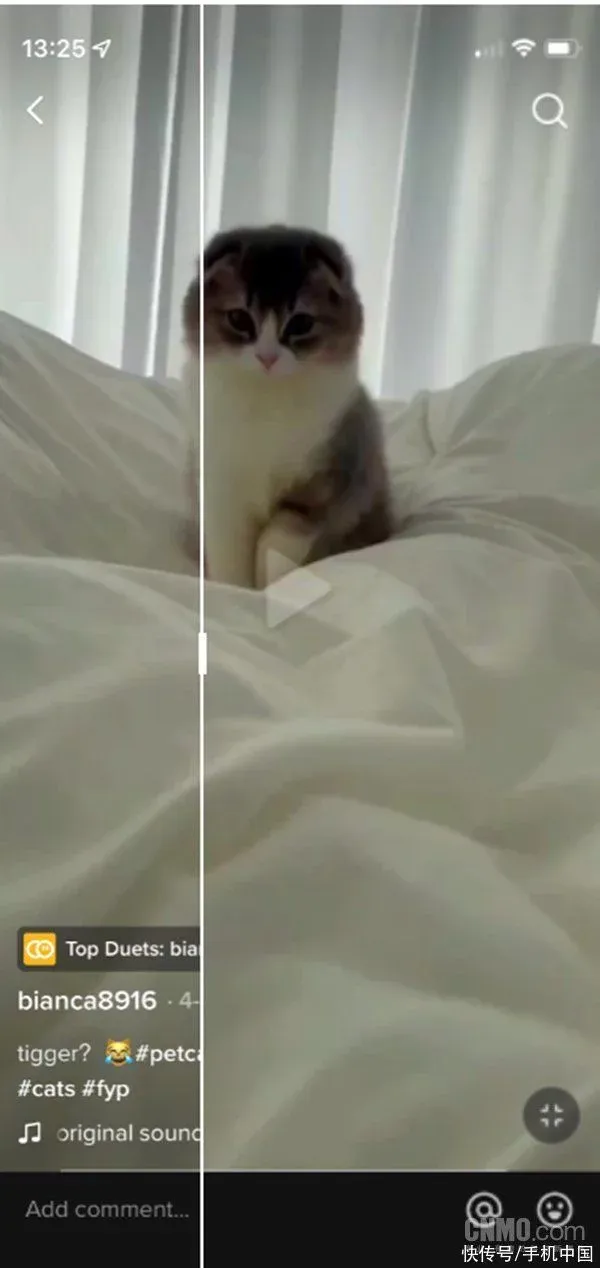 资讯｜抖音何时跟进？TikTok新功能广受好评刷视