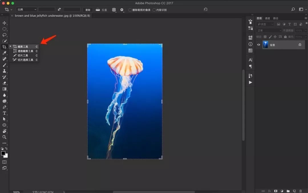 ps删除切片工具（删除切片器中的部分项）