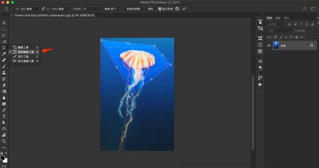 ps删除切片工具（删除切片器中的部分项）