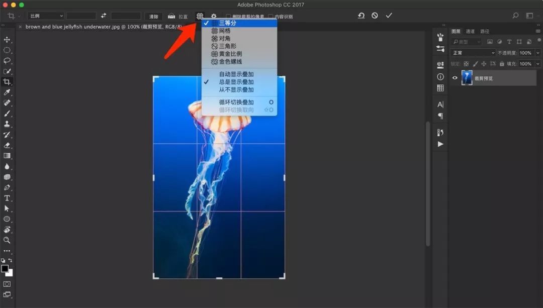 ps删除切片工具（删除切片器中的部分项）