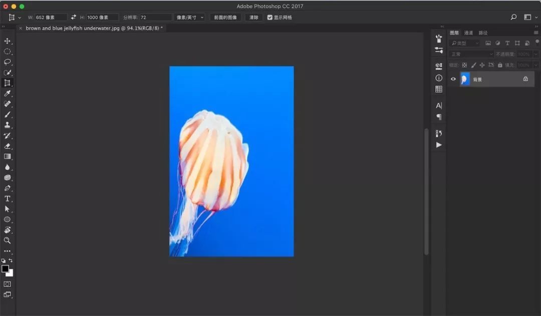 ps删除切片工具（删除切片器中的部分项）