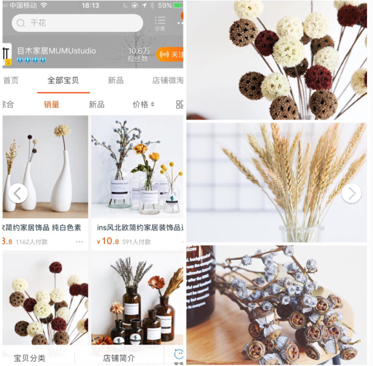 淘宝摆件店铺推荐怎么弄（淘宝质量好小众的店铺）