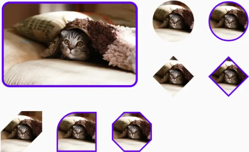 关于Material组件 关于Material组件