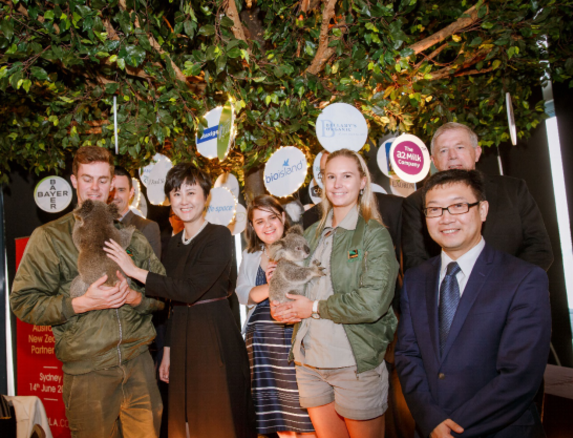 网易考拉海购好评回复(网易考拉海购的评论方式) 网易考拉海购好评回复(网易考拉海购的评论方式)