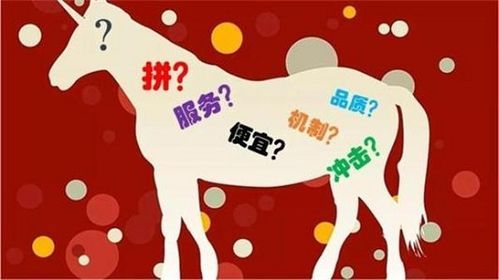 拼多多免拼卡24小时才能用吗 拼多多免拼卡24小时才能用吗