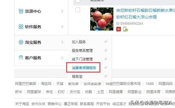 淘宝消费者保障服务在哪里找（买家保障服务开通）