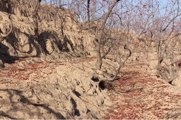 90后小伙,靠给老人“拍照”涨粉百万,他背后的 90后小伙,靠给老人“拍照”涨粉百万,他背后的