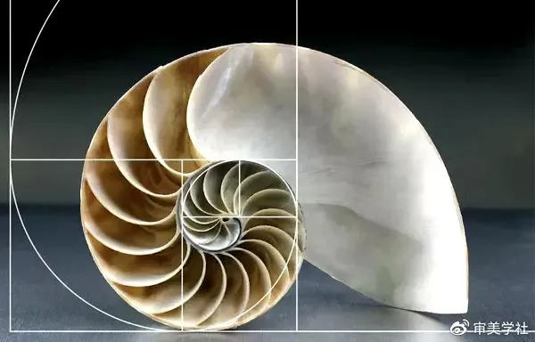 四则运算(斐波那契体诗) 四则运算(斐波那契体诗)