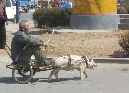 淘宝缺货如何预先购物车(抢购秒杀商品最快的方式) 淘宝缺货如何预先购物车(抢购秒杀商品最快的方式)