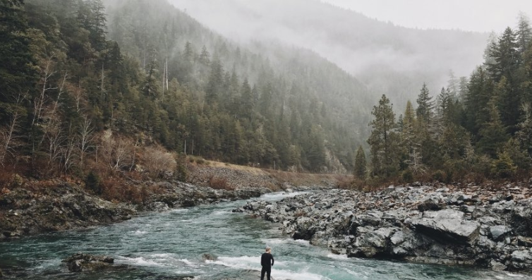 搜狗广告怎么收费?搜狗广告登录入口在哪里? 搜狗广告怎么收费?搜狗广告登录入口在哪里?