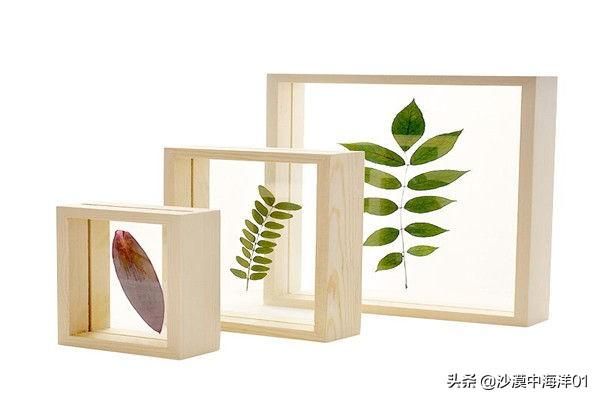 淘抢购收费规范是什么（淘宝平台交易规则）