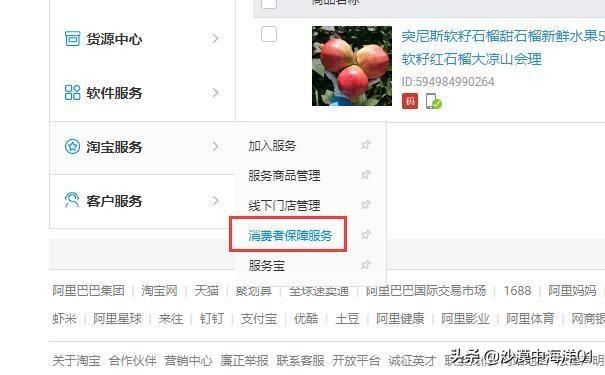 淘宝怎么开通保障速递服务（千牛消费者保障服务的设置）