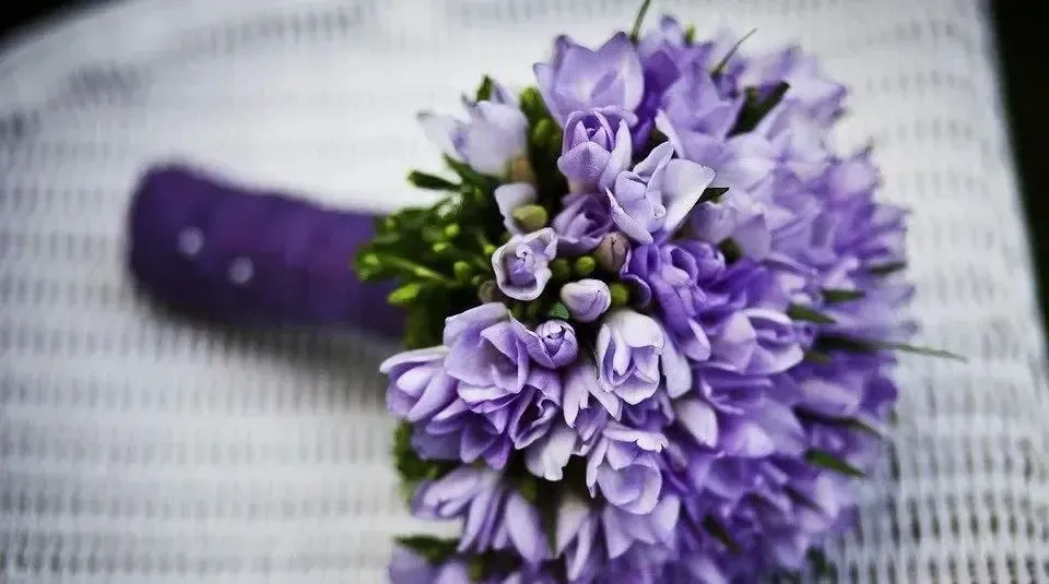 2021前端面试 2021前端面试