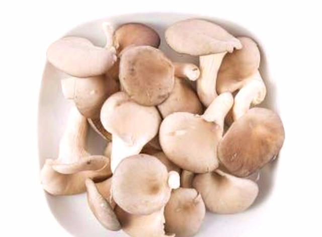 普通的平菇,不是肉却能炒出肉的味道,怎么做 普通的平菇,不是肉却能炒出肉的味道,怎么做