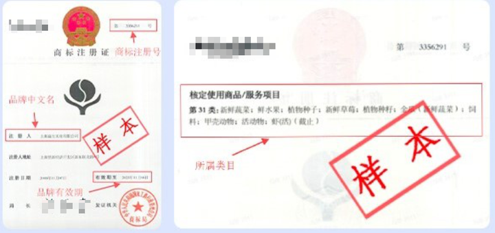 最新抖音小店开通全流程，一步一步教你入驻抖