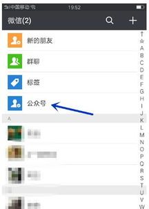 拼多多微信群,带你领略新电商的独特魅力 拼多多微信群,带你领略新电商的独特魅力