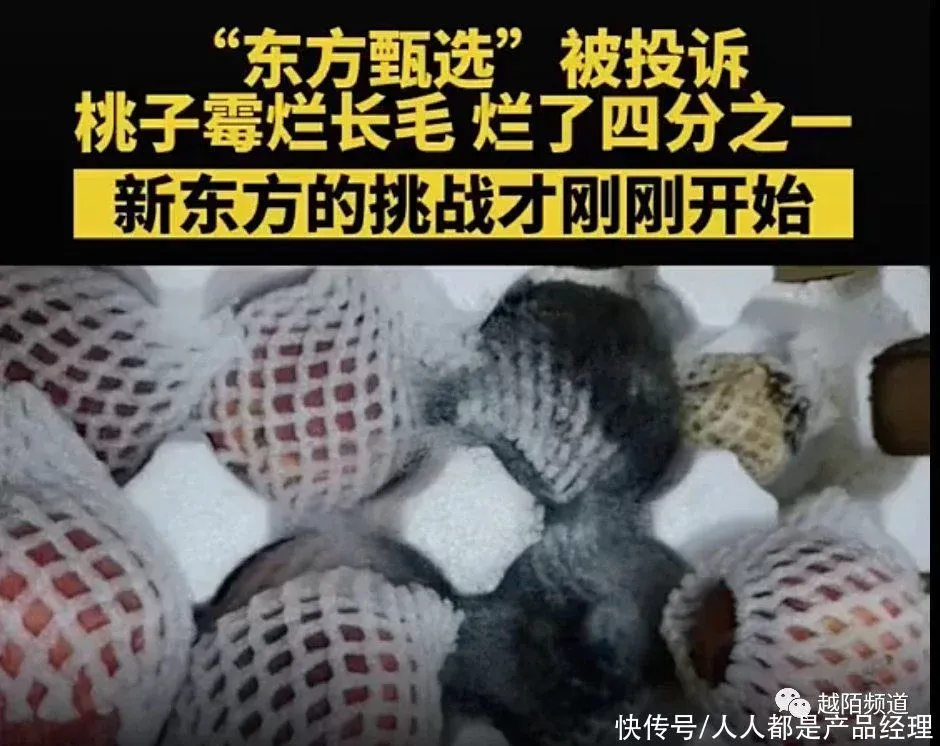 案例拆解：从抖音FACT+全域经营方法论拆解「东方