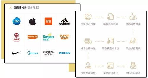 拼多多购物攻略:让你轻松选购心仪商品 拼多多购物攻略:让你轻松选购心仪商品