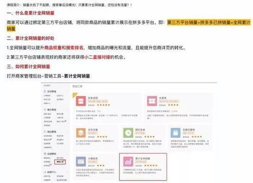 轻松查询拼多多消费总额,让你购物更明智 轻松查询拼多多消费总额,让你购物更明智